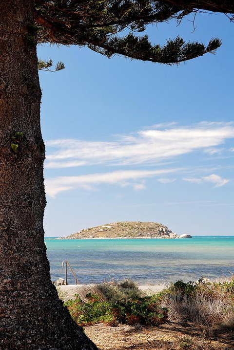 Boutique Getaway On Wright - Accommodation Daintree 28