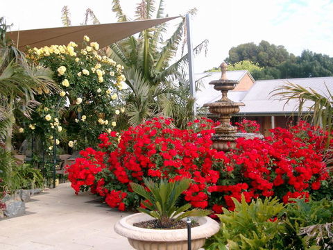 McLaren Vale Motel & Apartments - Accommodation Daintree 35