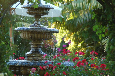 McLaren Vale Motel & Apartments - Accommodation Daintree 15