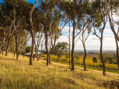 Shadow Creek McLaren Vale - Accommodation Daintree 5