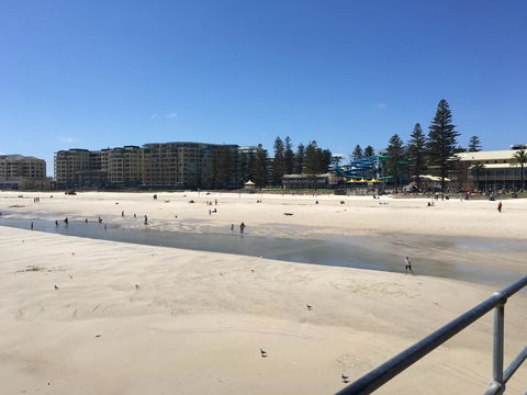 Beachside Luxury Getaway In Glenelg - Accommodation Daintree 16