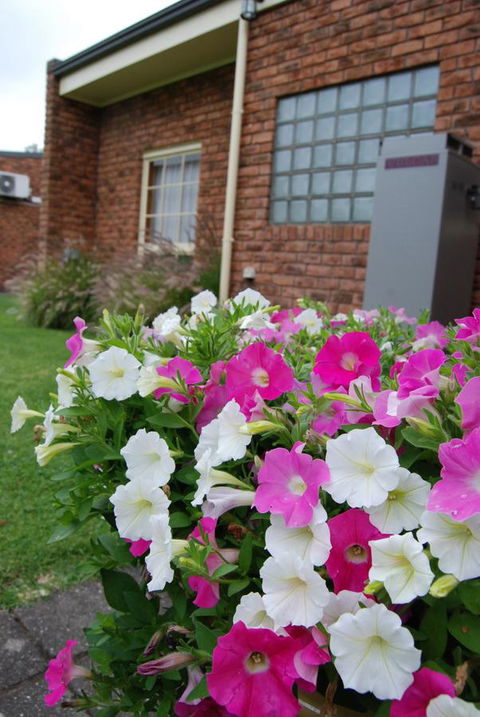 Arkana Motor Inn & Terrace Apartments - Accommodation Daintree 40