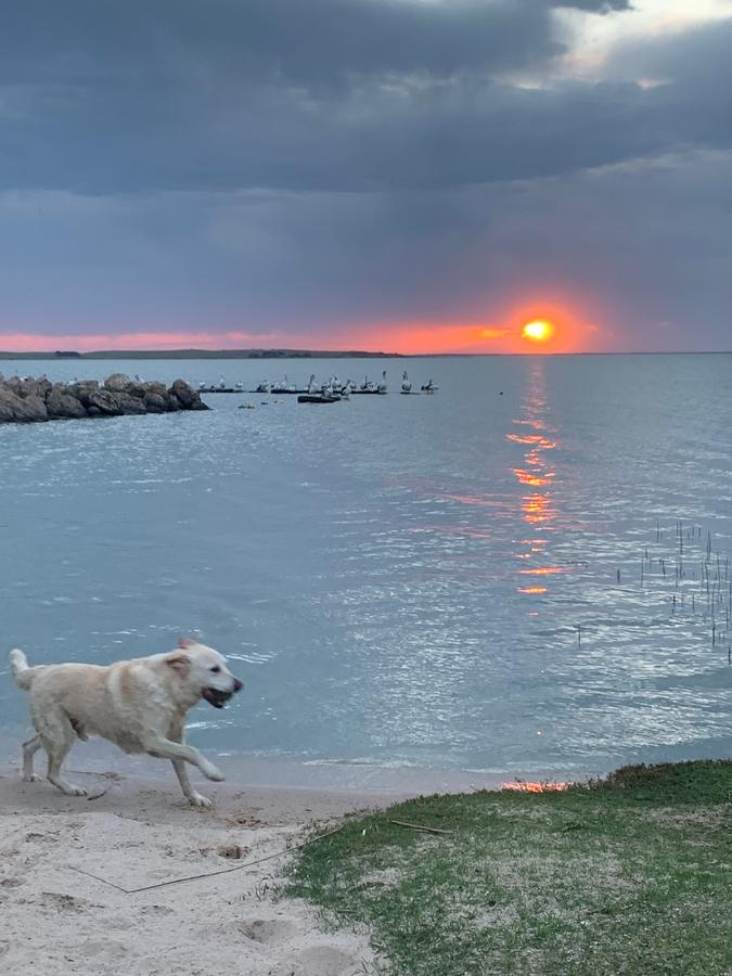 Meningie SA Accommodation Daintree