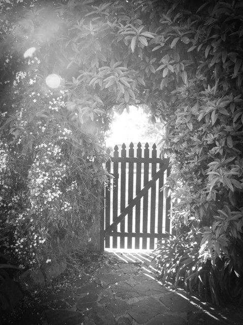 Haven Cottage Kangaroo Island - Accommodation Daintree 33