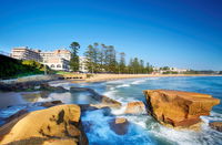 Book Terrigal Accommodation Vacations Accommodation Daintree Accommodation Daintree