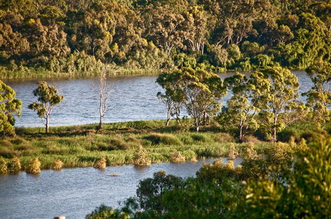 Riverview Rise Retreats - Accommodation Daintree 25