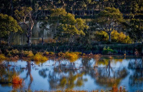 Riverview Rise Retreats - Accommodation Daintree 7