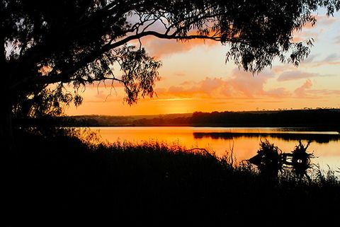 Riverview Rise Retreats - Accommodation Daintree 12