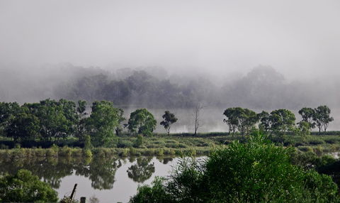 Riverview Rise Retreats - Accommodation Daintree 22