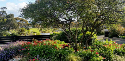 Admirals Inn - Accommodation Daintree 8