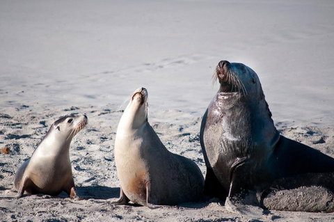 Admirals Inn - Accommodation Daintree 39