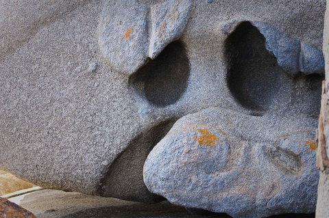 Admirals Inn - Accommodation Daintree 40