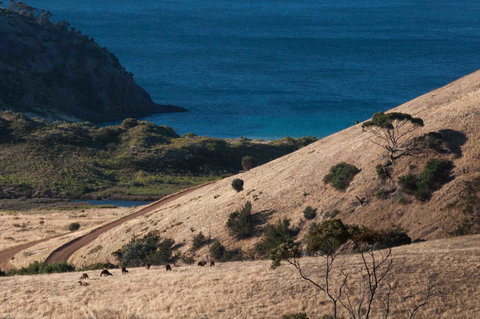 Admirals Inn - Accommodation Daintree 44