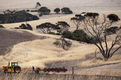 Admirals Inn - Accommodation Daintree 43
