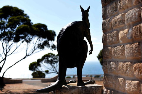 Admirals Inn - Accommodation Daintree 12