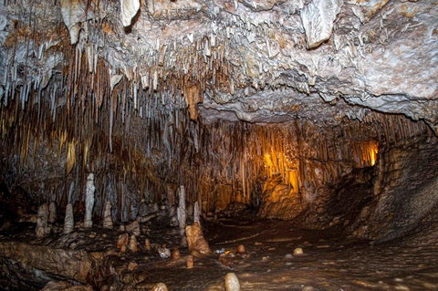 Admirals Inn - Accommodation Daintree 34