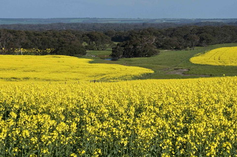 Admirals Inn - Accommodation Daintree 41