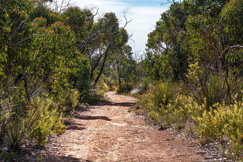 Admirals Inn - Accommodation Daintree 35