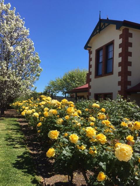 Wine And Roses Bed And Breakfast - Accommodation Daintree 5