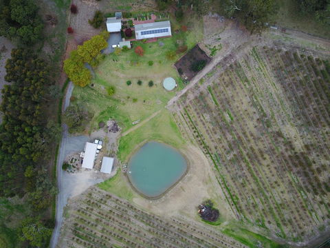 STUDIO ECHUNGA Adelaide Hills - Accommodation Daintree 22