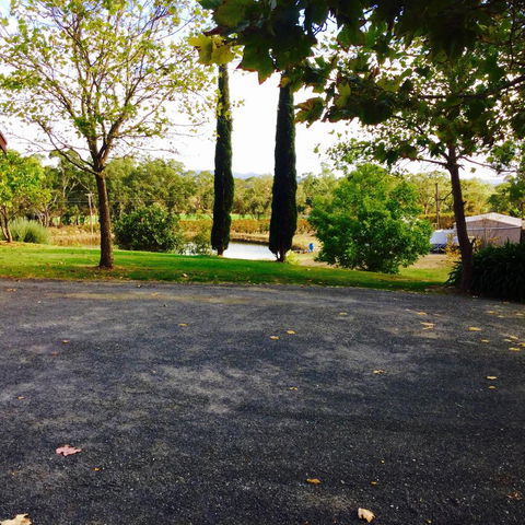 STUDIO ECHUNGA Adelaide Hills - Accommodation Daintree 5
