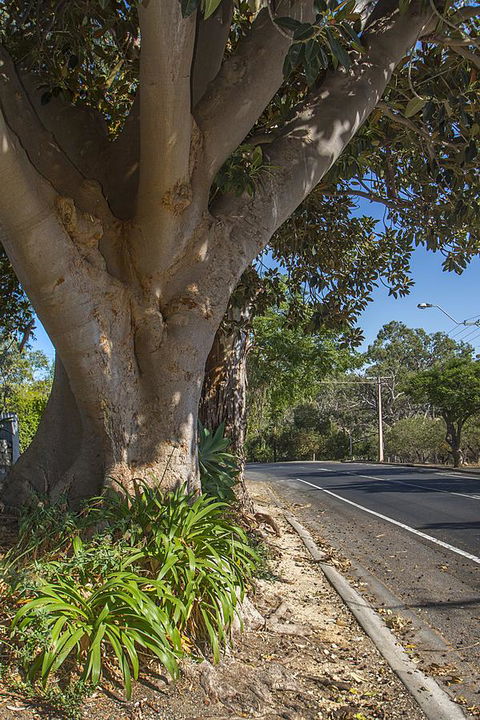 Stoneleigh Cottage Bed And Breakfast - Accommodation Daintree 25