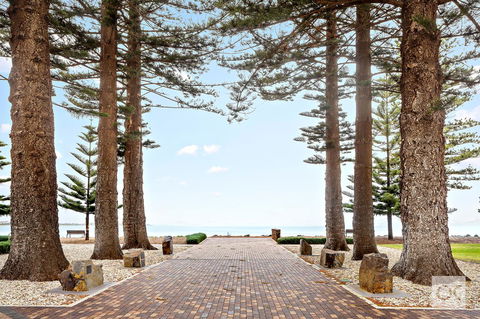 Breeze Beachfront Apartment - Accommodation Daintree 42