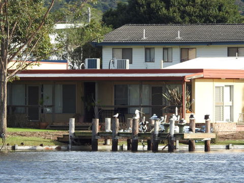 Lake Edge Apartments - Accommodation Daintree 28