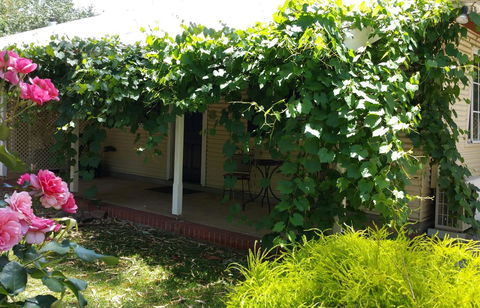 Amy\'s House Bed & Breakfast - Accommodation Daintree 34