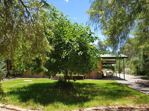 Amy\'s House Bed & Breakfast - Accommodation Daintree 28