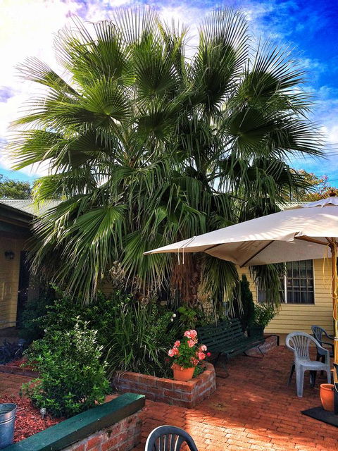 Ten Dollar Town Motel - Accommodation Daintree 17