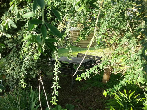 The Pig And Whistle - Accommodation Daintree 43