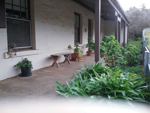 The Pig And Whistle - Accommodation Daintree 42