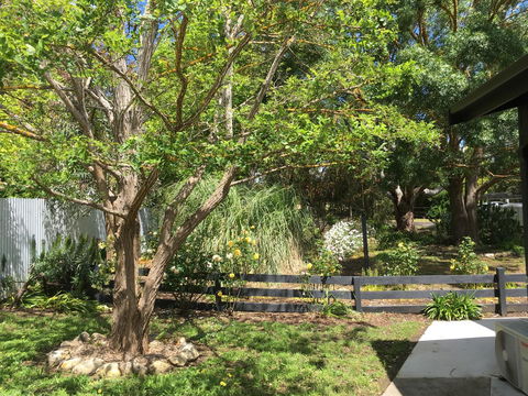 Hilltop Too - Accommodation Daintree 7