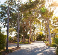 Modra's Apartments - Accommodation Daintree