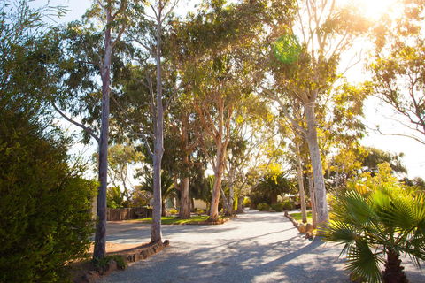 Modra\'s Apartments - Accommodation Daintree 0