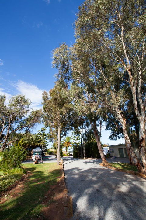 Modra\'s Apartments - Accommodation Daintree 7