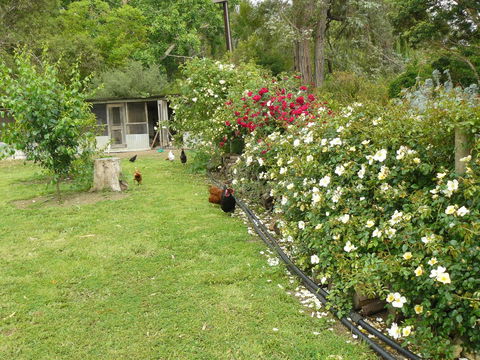 Camawald Coonawarra Cottage B&B - Accommodation Daintree 3