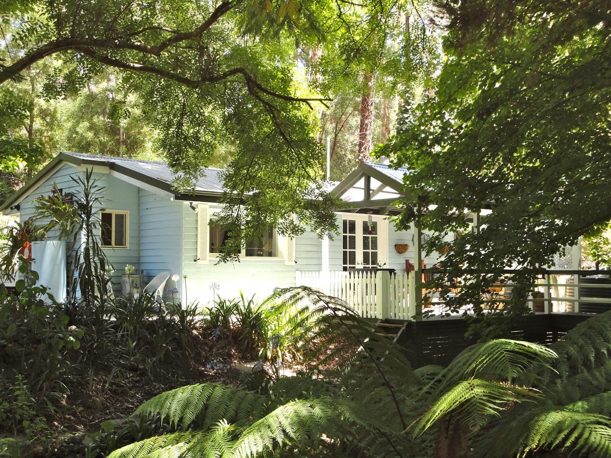 Mylor SA Accommodation Daintree