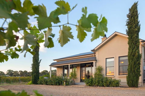 Barossa Shiraz Estate - Accommodation Daintree 2