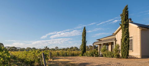 Barossa Shiraz Estate - Accommodation Daintree 13