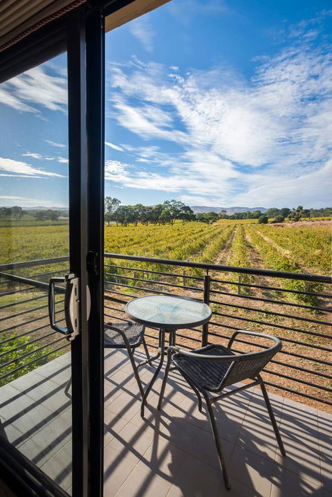 Barossa Shiraz Estate - Accommodation Daintree 33