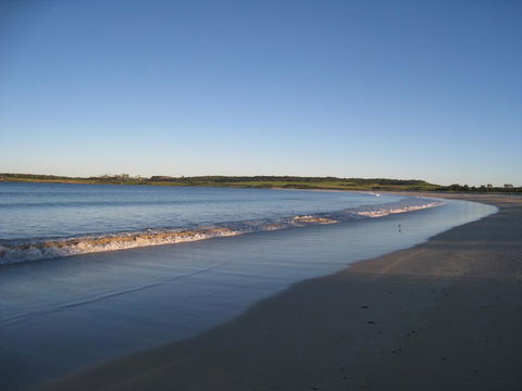 Pelicans Rest Shellharbour - Accommodation Daintree 17