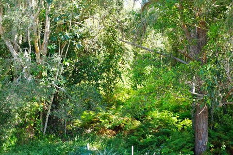 Brunswick Heads Treetop Studio - Accommodation Daintree 20