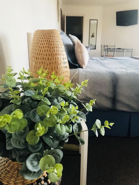 Barossa Valley Studio - Accommodation Daintree 12