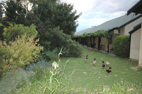 Burra Motor Inn - Accommodation Daintree 24