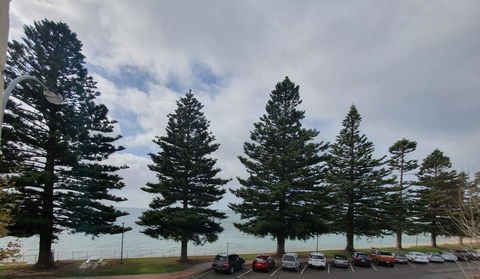 Pier Hotel Port Lincoln - Accommodation Daintree 12