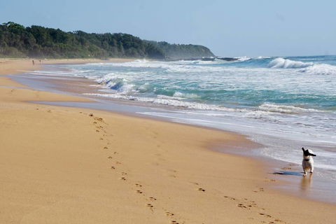 Culburra Beachhouse - Accommodation Daintree 7