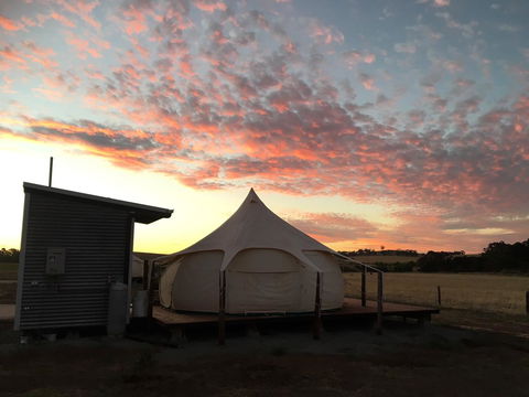 Bukirk Glamping & Fancy Coops - Accommodation Daintree 24