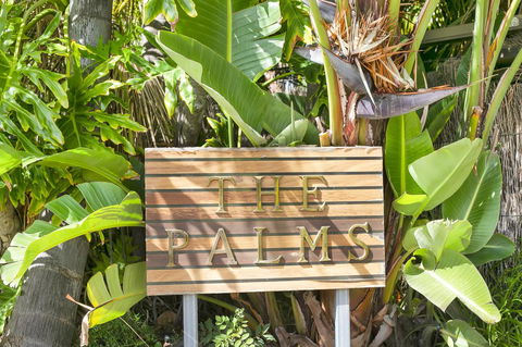 The Palms - Accommodation Daintree 5